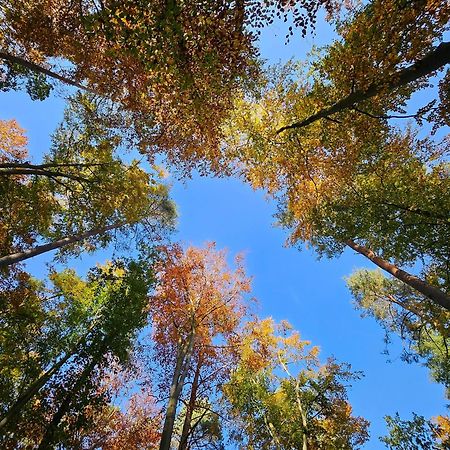 Fewo Am Wald Boek Exterior photo